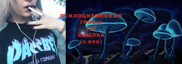 крисы Белоозёрский