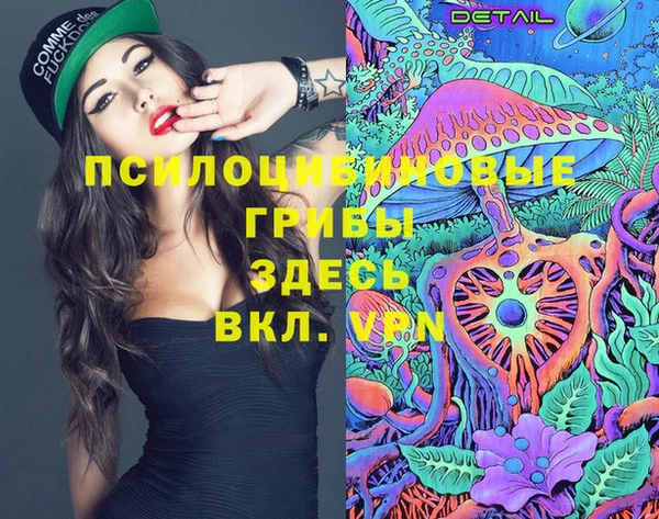 Альфа ПВП Белокуриха