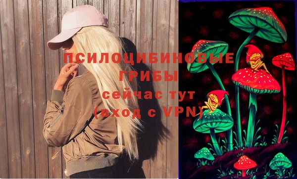 MDMA Беломорск
