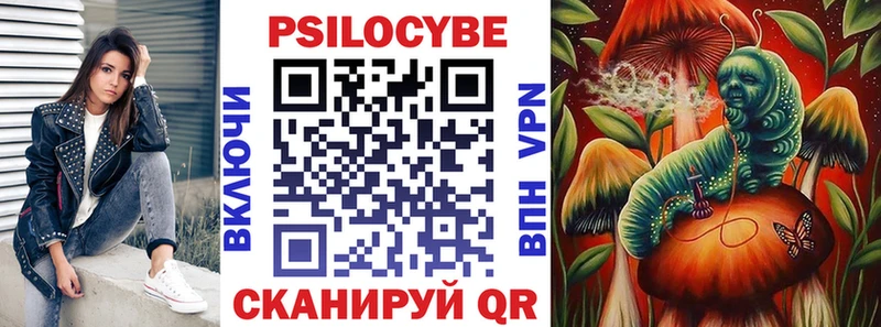 кракен как найти Бузулук Псилоцибиновые грибы мухоморы